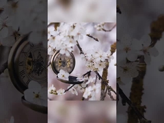 Lily Rose Osmanthus Dentes Creme dental branqueador em embalagem de papel branco de 400 g