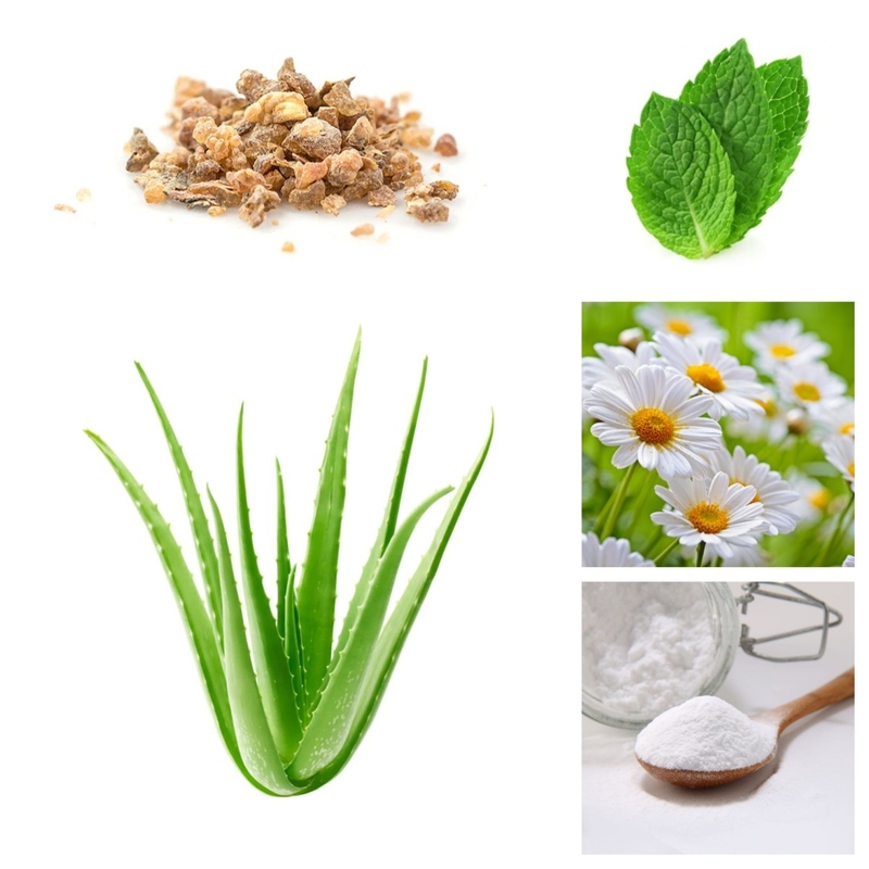 A planta natural de Vera Teeth Whitening Baking Soda do aloés oral orgânico do dentífrico do cuidado extrai Sls livre
