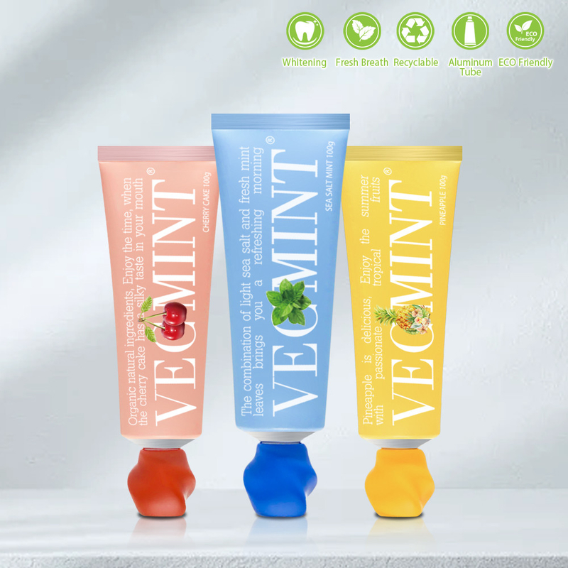 VECMINT Sal do mar e pasta de dente de hortelã fresca - deixa sua boca refrescada 100g fábrica por atacado