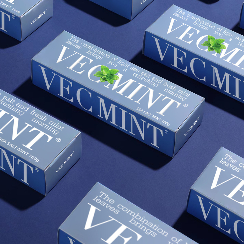 VECMINT Sal do mar e pasta de dente de hortelã fresca - deixa sua boca refrescada 100g fábrica por atacado