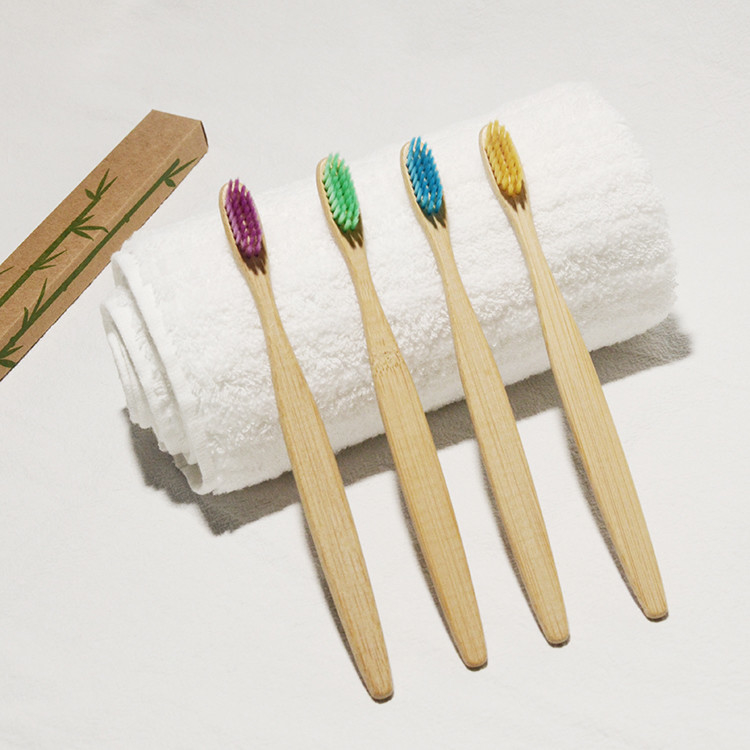 OEM livre plástico do verde de bambu colorido oral da escova de dentes do carvão vegetal do cuidado