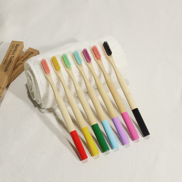 Da escova de dentes de bambu oral do carvão vegetal do vegetariano do cuidado dos adultos cor misturada